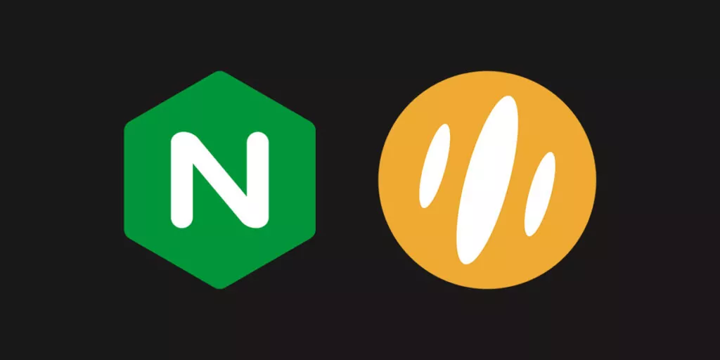 activer brotli sur nginx